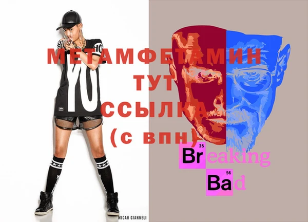 ГАЛЛЮЦИНОГЕННЫЕ ГРИБЫ Инта