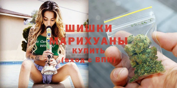 эйфоретик Инсар