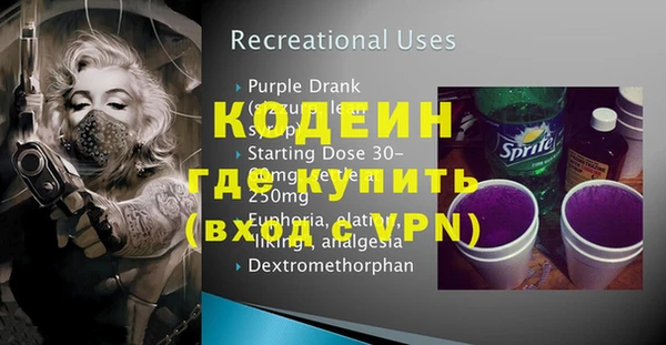 ГАЛЛЮЦИНОГЕННЫЕ ГРИБЫ Инта