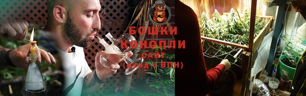 ГАЛЛЮЦИНОГЕННЫЕ ГРИБЫ Инта