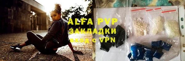 ГАЛЛЮЦИНОГЕННЫЕ ГРИБЫ Инта